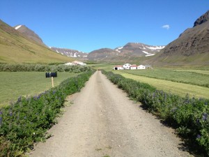 S&eacute;&eth; fr&aacute; Flateyrarvegi heim a&eth; b&aelig;num