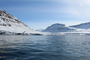 Vantar sk&yacute;ringatexta.