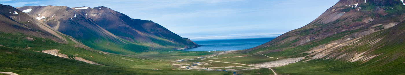 Jar&eth;ir &aacute; &Iacute;slandi